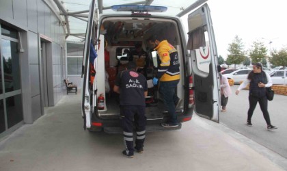 Konyada ceviz ağacından düşen 3 kişi yaralandı