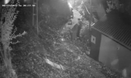 Köy merkezine inen ayıları torpil atarak kaçırdılar