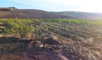 Mardin’de sağanak; dere taştı, meyve bahçeleri zarar gördü 