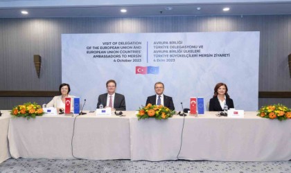 Meyer-Landrut: Türkiyeyi desteklemeye devam edeceğiz, bu dönüşümde Mersine de destek vermeye devam edeceğiz