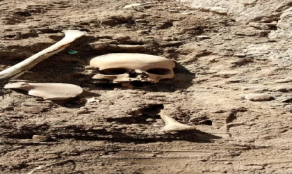 Okul bahçesinde insan kemikleri bulundu