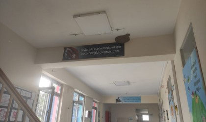 Okula yuva yapan kırlangıçların göç etmesi üzdü