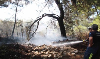 Ormanlık alandaki yangın büyümeden söndürüldü