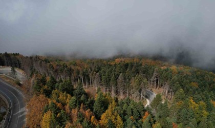 (Özel) Uludağda sonbahar şöleni havadan görüntülendi