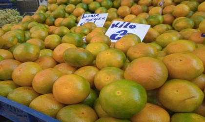 Pazarcının vitamin yönünden zengin mandalina satışından beklentisi yüksek