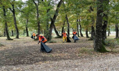 Piknikçilerin bıraktığı çöpleri topladılar