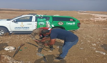 Şanlıurfada kaçak avcılara 57 bin lira ceza