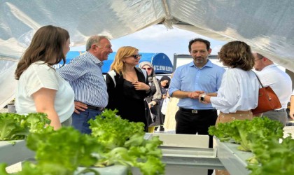 Seyhan Belediyesinin afet seraları hizmete girdi