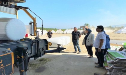 Silajlık mısır hasadı sürüyor