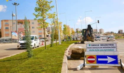 Şırnak belediyesi yeşillendirme çalışmaları başlattı