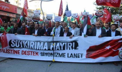 Şırnakta Filistine destek mitingi düzenlendi