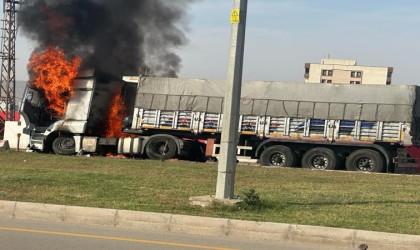 Şırnakta freni boşalan kömür yüklü kamyon bariyerlere çarparak yandı