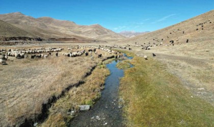 Şırnakta yayladan inen besici, bir aylık yolculuğuna başladı