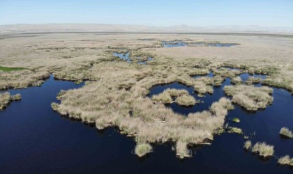 Sultan Sazlığına Tesisler Geliyor