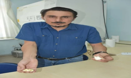 ’Taşköprü sarımsağı antibiyotik özelliği bakımından Çin sarımsağından yüzde 100 daha etkili’