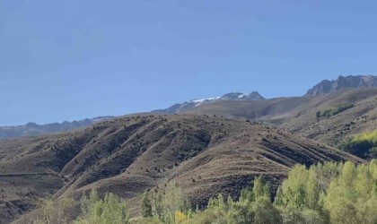 Tatvanda dağlar beyaza büründü