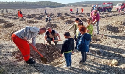 Tavşanlıda fidanlar toprakla buluştu