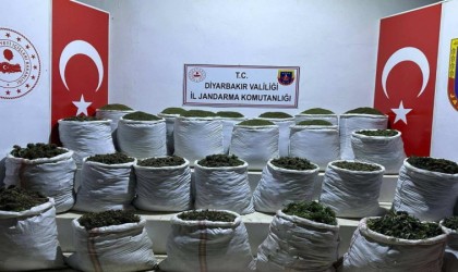 Terörün finans kaynağına darbe: 783 kilo esrar ele geçirildi