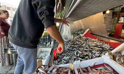 Tezgahlarda hamsi bolluğu