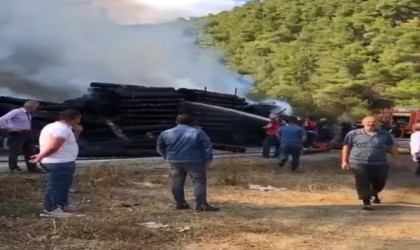 Tomruk yüklü tır alevlere teslim oldu