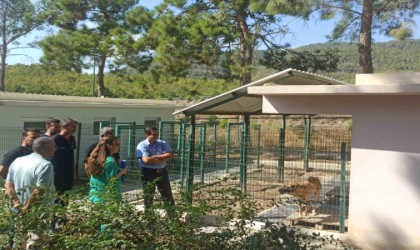 Topsakaloğlu: Hayvanları koruma bilinci, toplumsal duyarlılık ve empati ile şekillenir