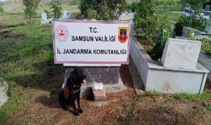 Uyuşturucuyu dedesinin mezarına sakladı