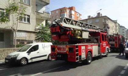 Yangında onlarca güvercin telef oldu