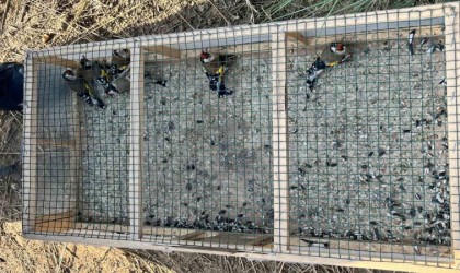 Yasadışı avlanan kişiye 73 bin lira ceza kesildi