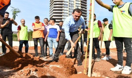 Yenişehirde yeşil alan miktarı artıyor