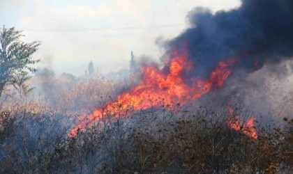 Yol kenarındaki boş araziye bırakılan çöpler yangına neden oldu