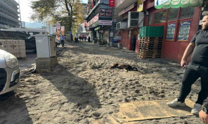 Zonguldak Belediyesinin kaldırım yenileme çalışmaları sürüyor