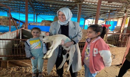 37 küçükbaş ile başladı şimdi 135 ulaştı