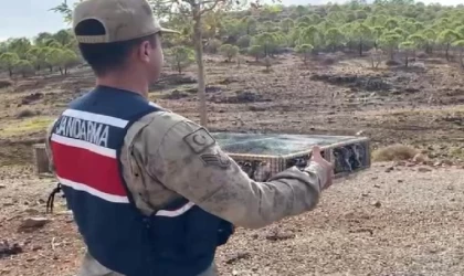 4 bin saka kuşuyla yakalanan Suriye uyruklu şüpheliye 5 milyon 600 bin lira ceza