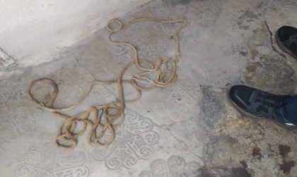 Akhisar polisi intihar girişimini son anda engelledi