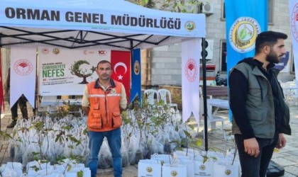 Alaplı Geleceğe Nefes Oldu