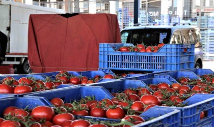Antalyada domates miktarı azaldı, sebze miktarı arttı