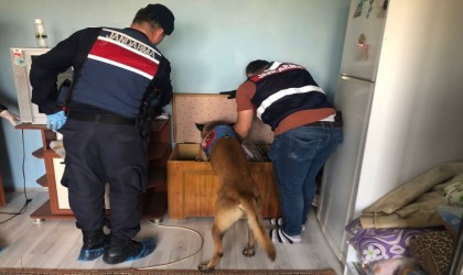 Balıkesirde jandarmadan 358 personelle Huzur operasyonu