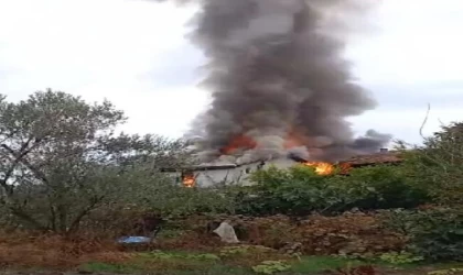 Balıkesir’de yangında ev kullanılamaz hale geldi, ahırdaki inek öldü