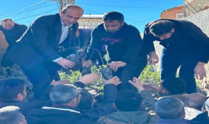 Başkalede 10 bin badem ve ceviz fidanı dağıtıldı