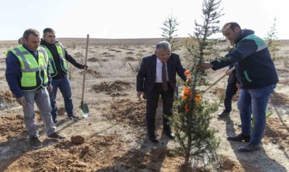 Başkan Büyükkılıç ile Kayseride 5 yılda 549 bin 735 adet ağaç ve çalı toprakla buluştu