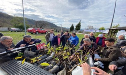 Bin adet kestane fidanı dağıtıldı