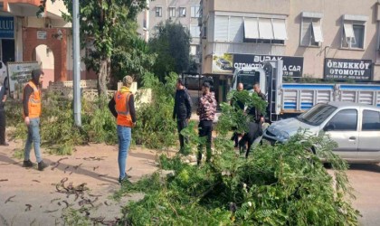 Büyükşehir ekiplerinin fırtına mesaisi