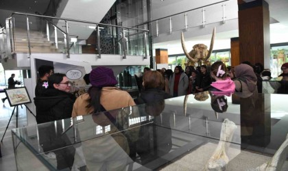 Büyükşehirin 7,5 milyon fosil sergisine öğrenciler ve vatandaşlardan yoğun ilgi