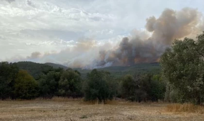 Çanakkale’de orman yangını (2)