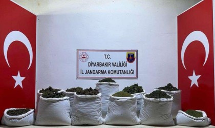 Diyarbakırda 135 kilogram esrar ele geçirildi: 1 gözaltı