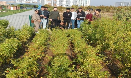 Diyarbakırda lise öğrencileri sebze ve meyve ağaçları yetiştirme hakkında bilgi aldı