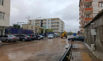 Diyarbakır’daki sağanak; köprü yıkıldı, 200 hindi öldü, arı kovanları zarar gördü