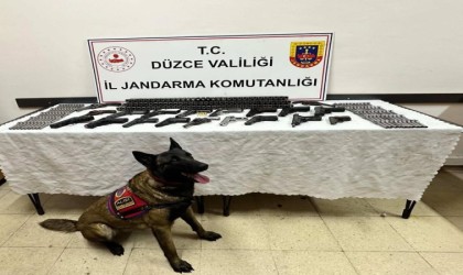 Düzcede kaçak silah operasyonu