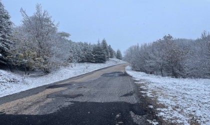 Eskişehire ilk kar düştü