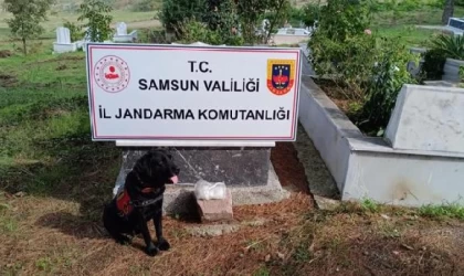 ’Etkin pişmanlık’ için dedesinin kabrine uyuşturucu sakladığını itiraf eden sanığa 15 yıl hapis (2)- Yeniden